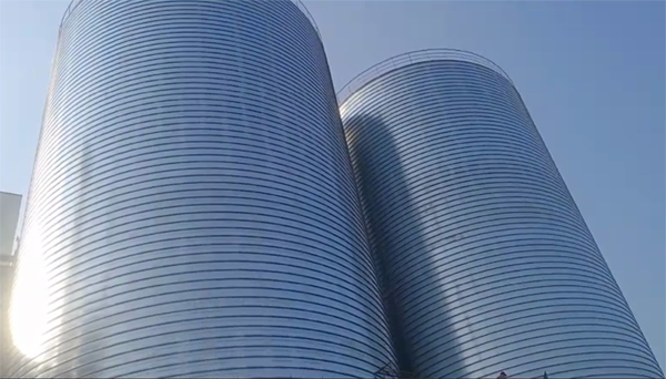 大兴2座混凝土高架卷板仓